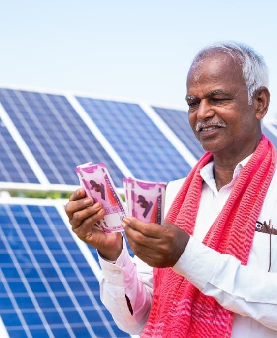 Direct Government Subsidy