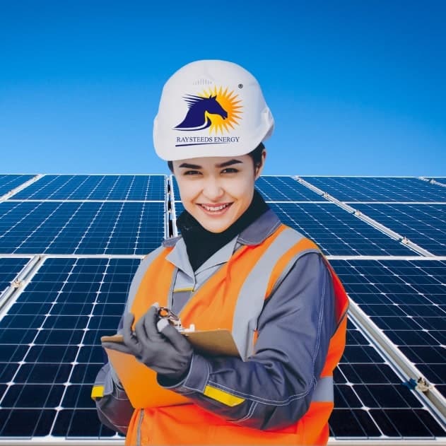 Choose Raysteeds as Vendor